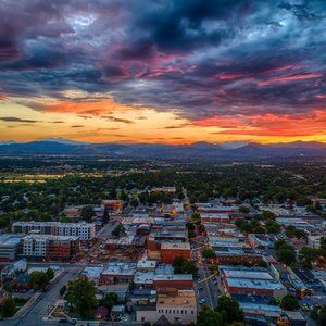 Additional Overweight 6LB Label for Posh Shows